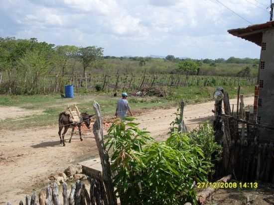 TURURU, POR RAIMUNDO VILA - TURURU - CE